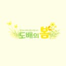 엄마의 마음 | 장기동 KCC스위첸 도배 후기 — 결혼하는 아들 부부를 위한 엄마의 마음