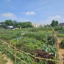 월암농장 이미지