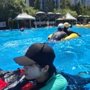 대덕대로1527번길 이미지
