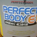 퍼펙트바디 Daum카페