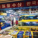 파덩탁 다이어트 9일차.