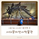스테고사우루스-1 | 서울 실내 아이와 가볼 만한 곳 추천 서대문자연사박물관 5살 아이와 다녀온 후기