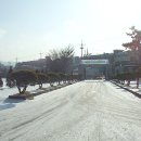 천안고등학교 이미지