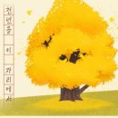 말하는은행나무 이미지