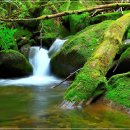 상기목장 이미지