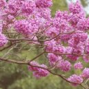 라파온누리약국 이미지