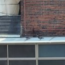 모정한의원 이미지