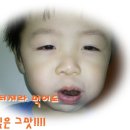 설탕별 이미지