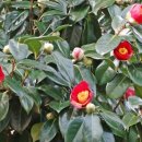 내고향서천 이미지