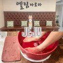 쉴틈올레 | 제주 서귀포 마사지 엘림아로마 먹돌관리 단체 가족여행코스