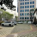 [대구 봉덕동 카페] 애견동반가능한 예쁜정원이 있는 라일락 향이 솔솔 주택개조감성 카페봉덕