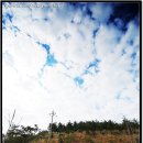 예송민박 이미지