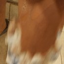 너츠포레스트 이미지
