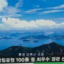 산양일주도로가로수 이미지