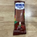 롯데웰푸드(주)파스퇴르밀크바안산점 | [아이스크림/후식/빙과]빵빠레 소프트바 초코 - 롯데웰푸드