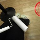 다락방고양이 이미지