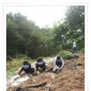 옥이네농장 이미지