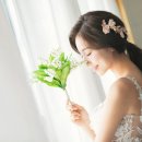 웨드컴퍼니