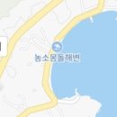 대왕정오리