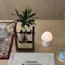 수원-0540 이미지