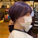 제시헤어 이미지