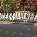 성남시청앞 인도 이미지