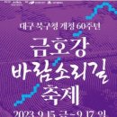 산격대교 인근 축제장 이미지