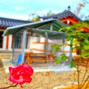 고요한옥펜션 이미지