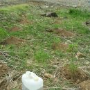 천풍농장 이미지