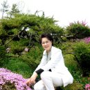짠짜라 이미지