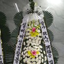 NB FEED 이미지