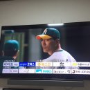 가마치 (수영) 이미지