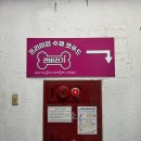 견바라기 이미지