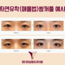 파티마의원 이미지