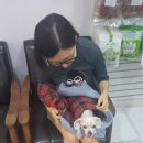사직삼보동물병원 이미지