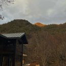 숲속애민박 이미지