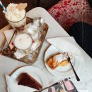 비엔나 | 비엔나 Café Sperl 방문 후기 (메뉴, 분위기, 웨이팅)