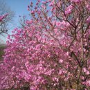 중근농장 이미지