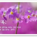 행복한날 Daum카페