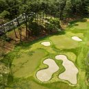 VIP골프클럽 이미지