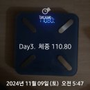 [간헐적 현미생채식 다이어트 일지_Day3] 일기가 아니고 무려 빡센 계획의 다이어트 일지라는걸 잊지마