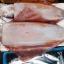 거제수산업협동조합 - 7213 | 거제수산업협동조합