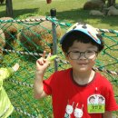 석천목장 이미지