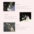 케이터틀 본식 서브스냅 무드잇 계약 후기(짝꿍할인 1만원)