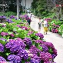 평화로옛집 이미지