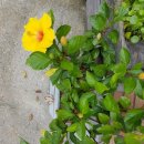 명랑공인중개사사무소 이미지