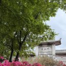 강진 | 강진 남미륵사 철쭉 주말 오픈런 후기 (26.04.18)