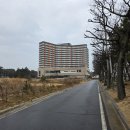 쭈꾸미하우스 | 보령 무창포 쭈꾸미 축제 방문 후기(새조개,수산물시장,그린하우스)