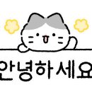 라만차의 돈키호테 캠핑장 이미지
