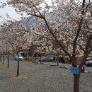 밀양표충오토캠핑장 이미지